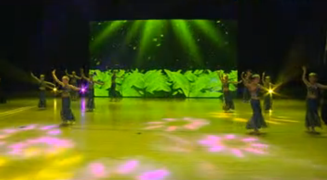 第三届圆梦之星大型电视展演活动